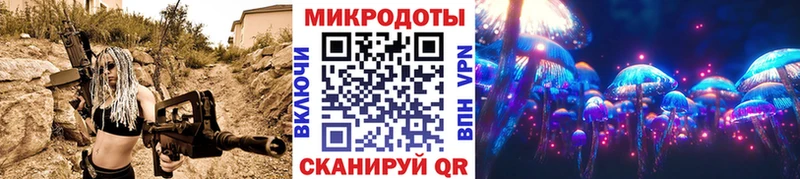 наркотики Балахна Псилоцибиновые грибы Psilocybe